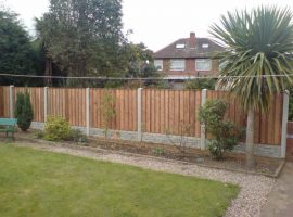 Garden Boundary Fence
